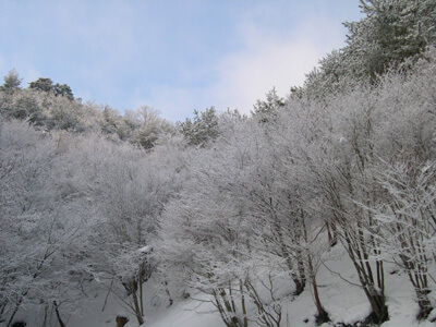 京都京北の雪