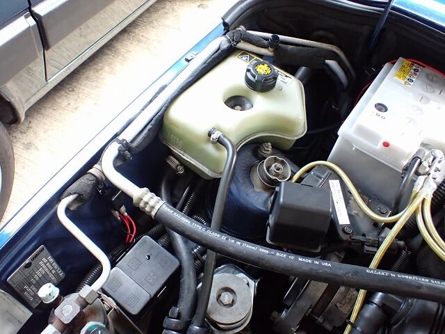 ﾌｨｱｯﾄﾊﾟﾝﾀﾞ