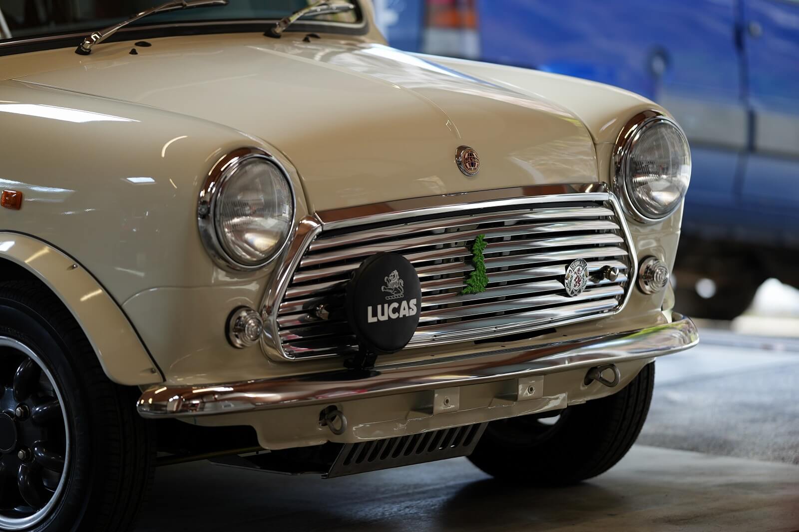 Rover Mimi Paul Smith