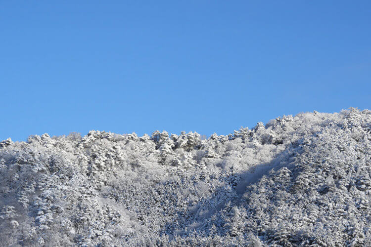 京都 京北 アピア